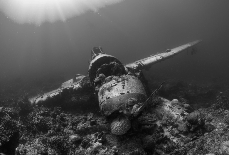 Photo of a submerged rusted and deteriorating aircraft resting on a bed of coral, converted to black and white. Original